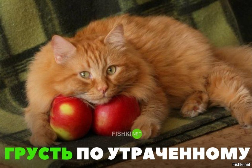 Грусть по утраченному