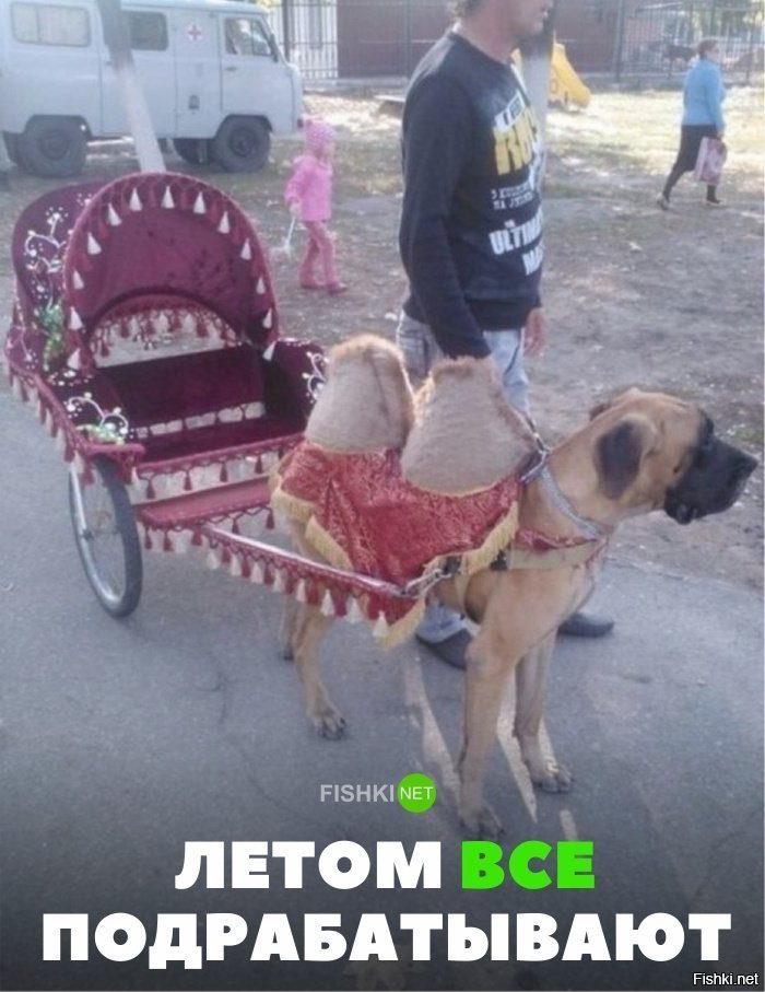 Летом все подрабатывают