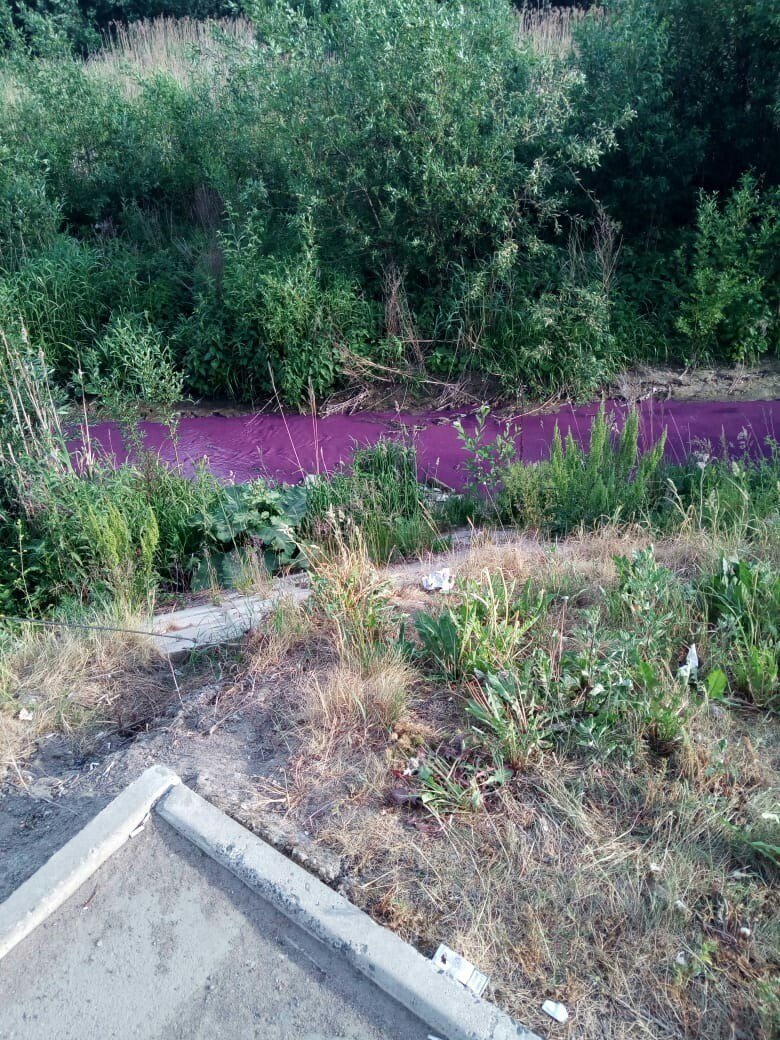 В Питере речка стала фиолетовой