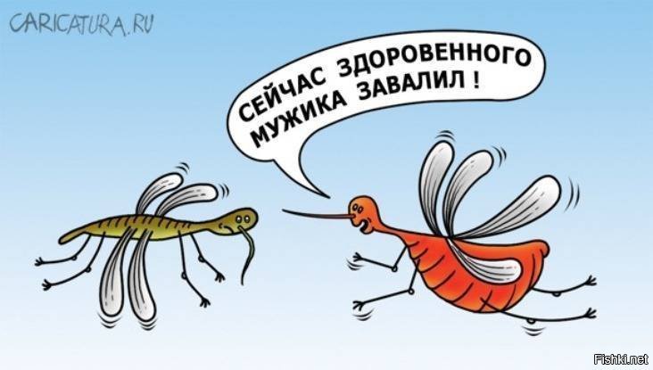 Хочу как в сказке у Чуковского - у каждого маленького комарика пусть будет ма...