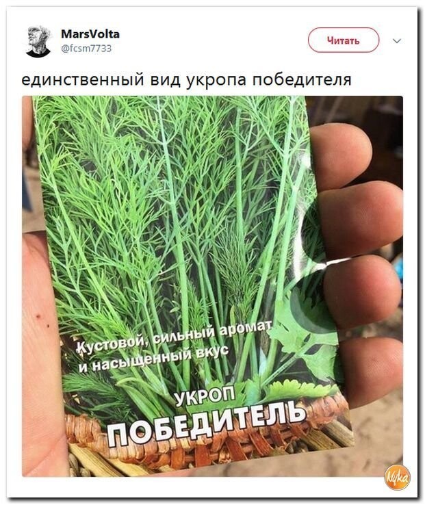 Политические коментарии - 496