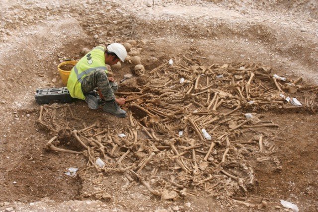 Раскопки и исследование костей 