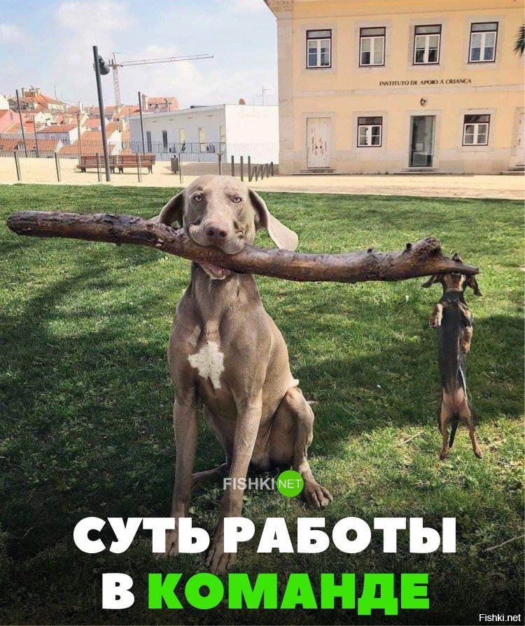 Суть работы в команде