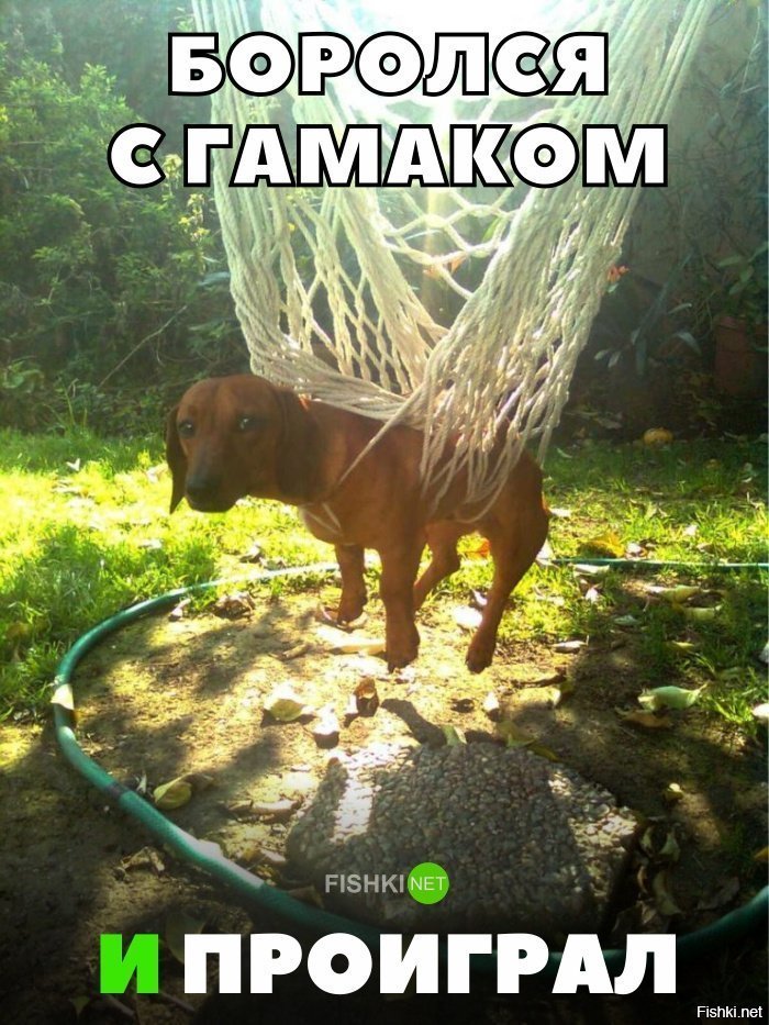 Битва гамаку проиграна