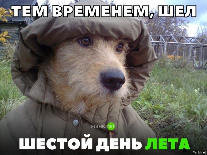 Шёл 6 день лета