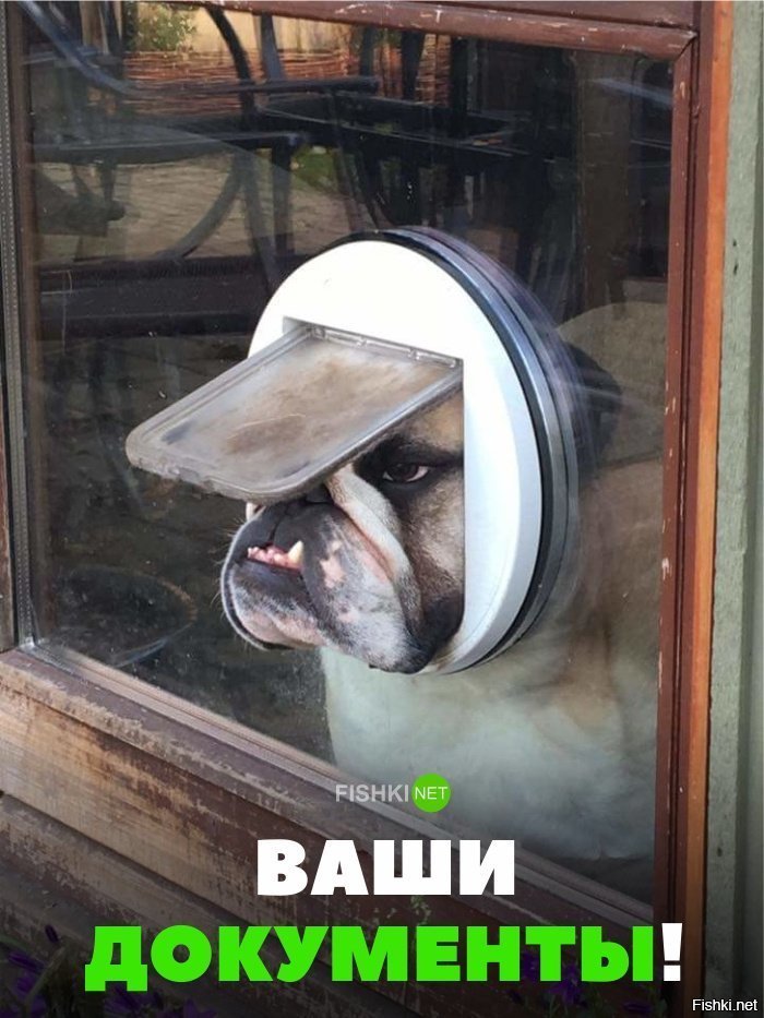 Ваши документы