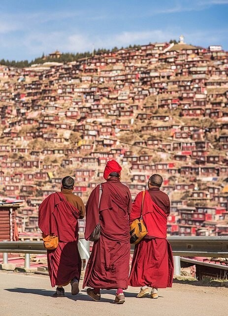 Мы вас заставим родину любить! Тибетских монахов отправили на специальные курсы