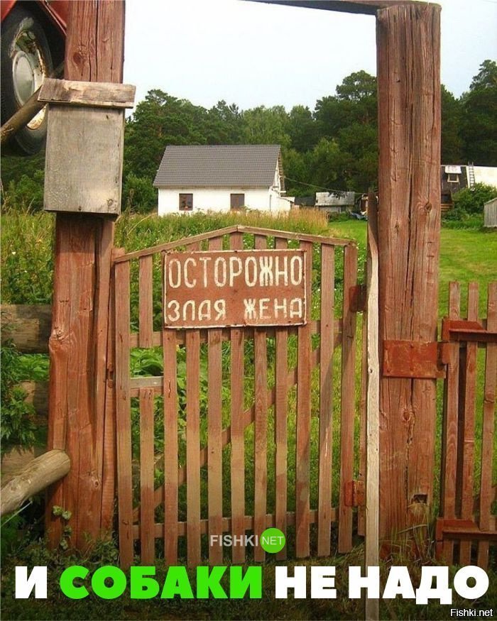 И собаки не надо