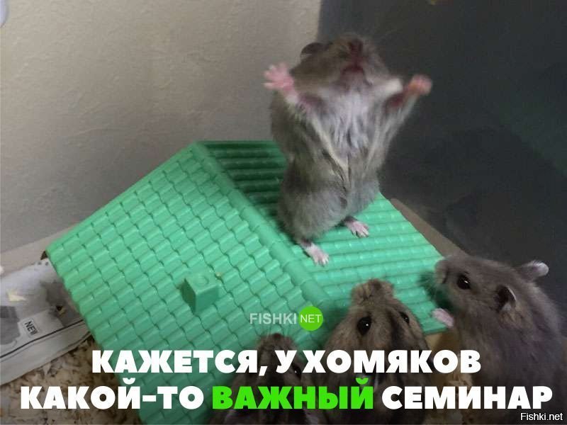 Восстание хомяков
