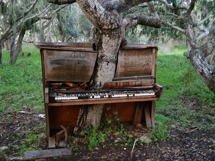 Музыкальное дерево. Или деревянное пианино?