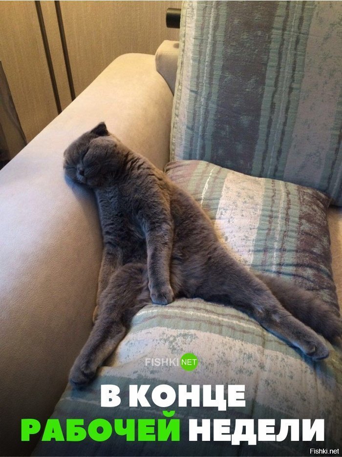 В конце рабочей недели
