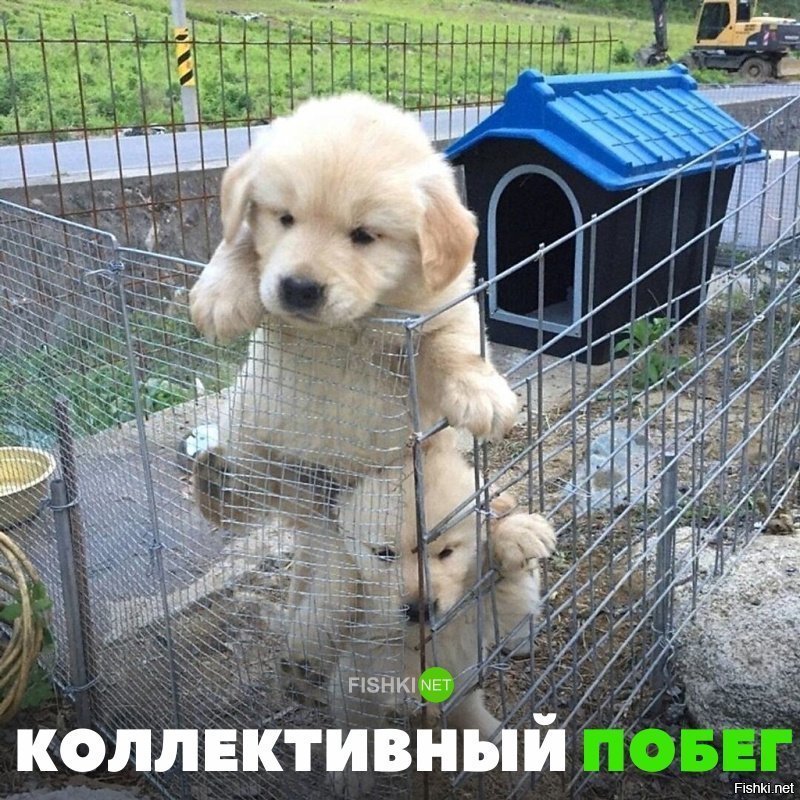 Побег из Шоушенка