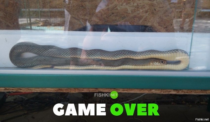 Game over
