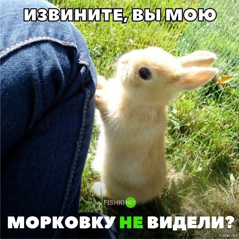 Милота