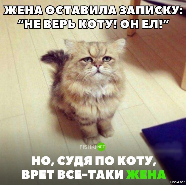 Не верь жене