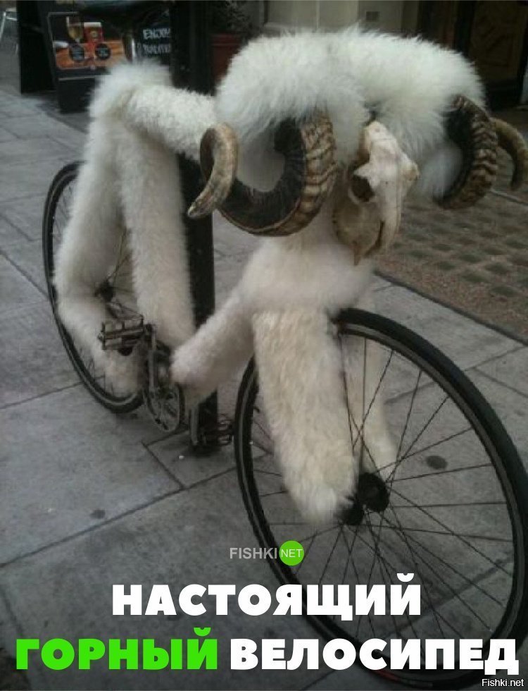 Настоящий горный велосипед