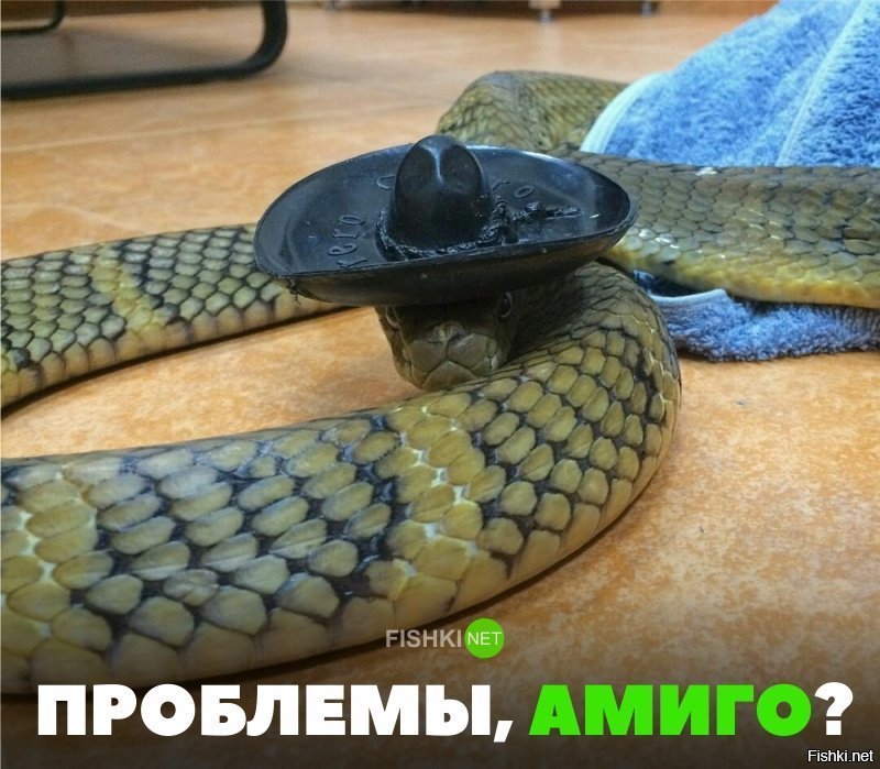 Проблемы?
