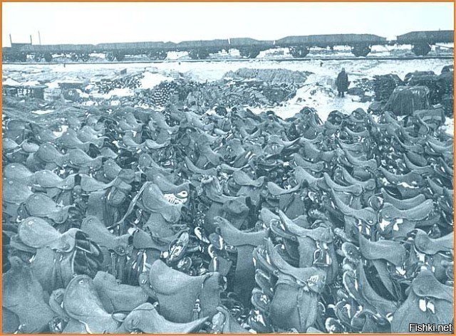 Румынская кавалерия в Сталинграде