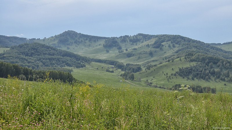 Горный Алтай, июнь