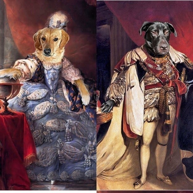 Ну и верх безумства! Собаки, написанные как Мария Антуанетта и Наполеон!!!