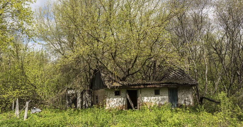 РПЦ предложила план восстановления заброшенных поселений