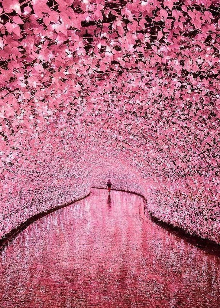 Сказочный туннель в Миэ, Япония