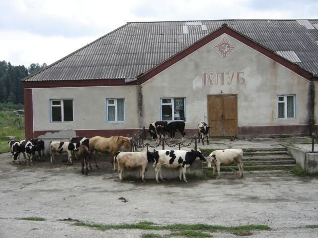 Колоритные фото из русской деревни