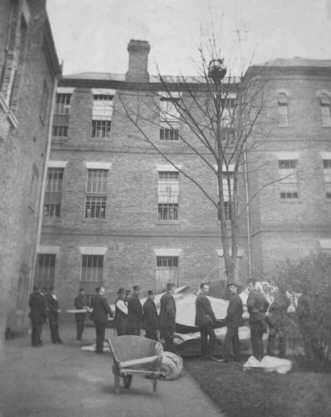 Работники психбольницы ждут, когда пациент спустится с дерева. Лондон, 1895 год