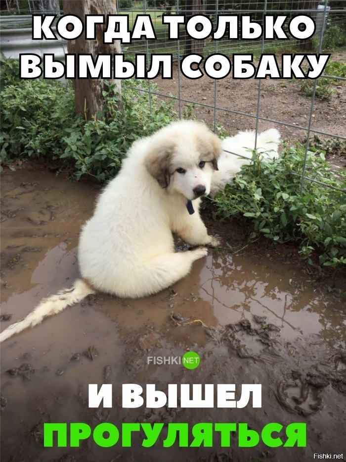 Жизненно