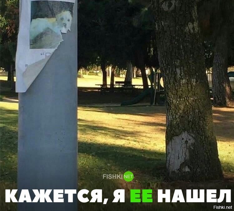 Кажется, я её нашёл