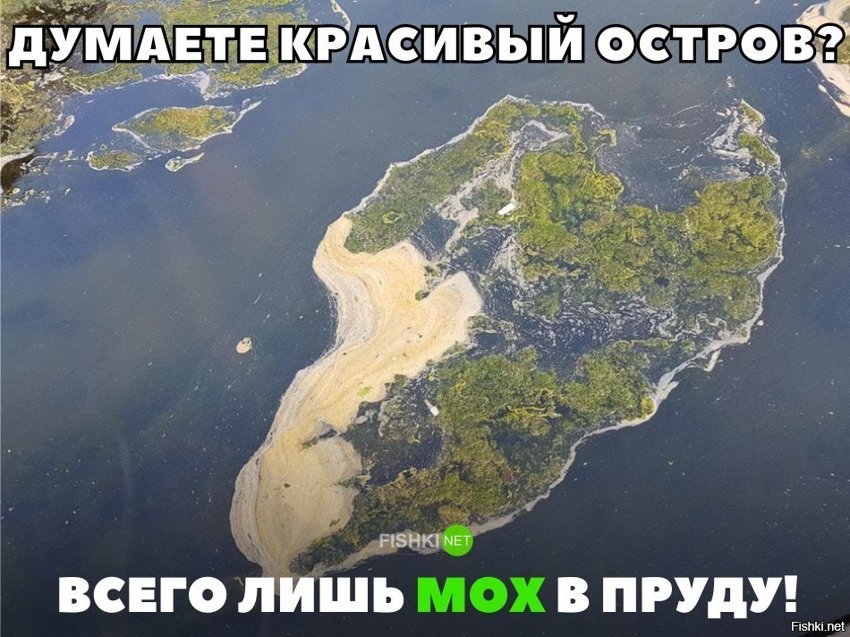 Показалось