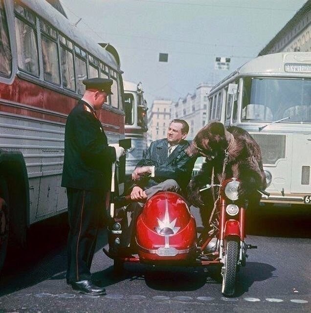 Дрессировщик Валентин Филатов на ул. Горького, 1965 год