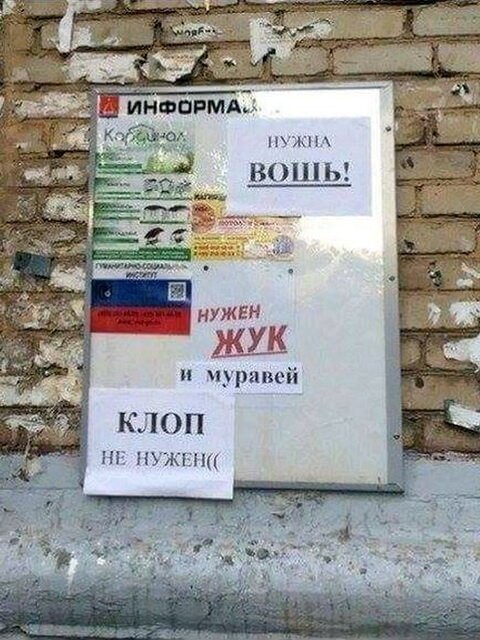 Прикольные картинки