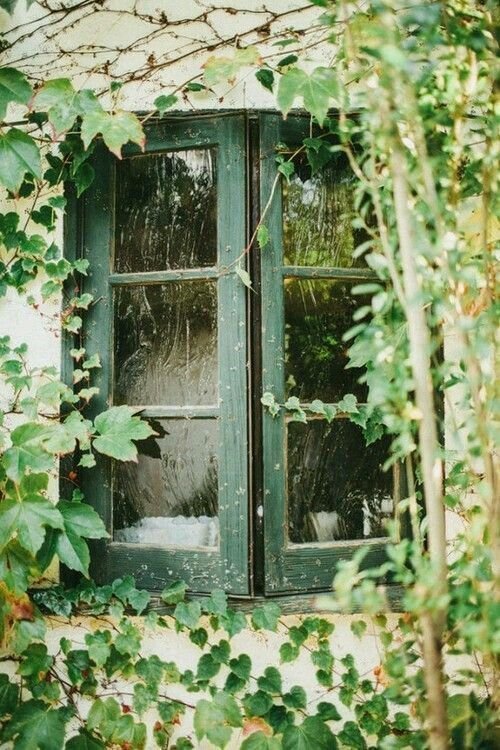 Завораживающий фотопроект  "Старые окна"