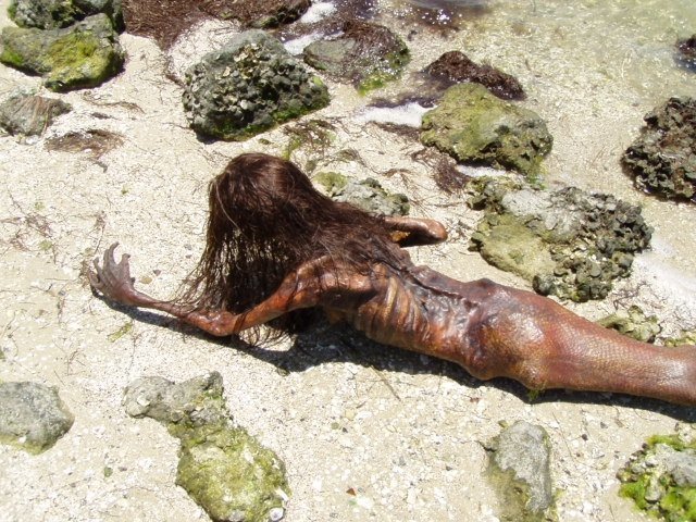 Мертвая русалка на пляже