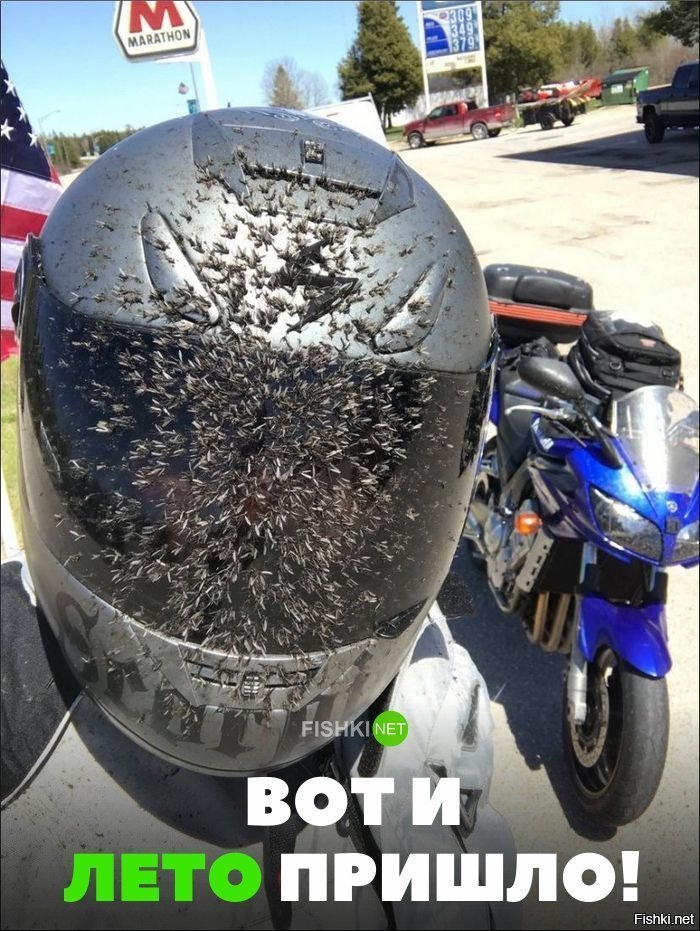 Вот и лето пришло