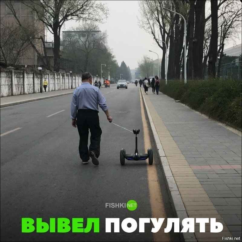 Вывел погулять