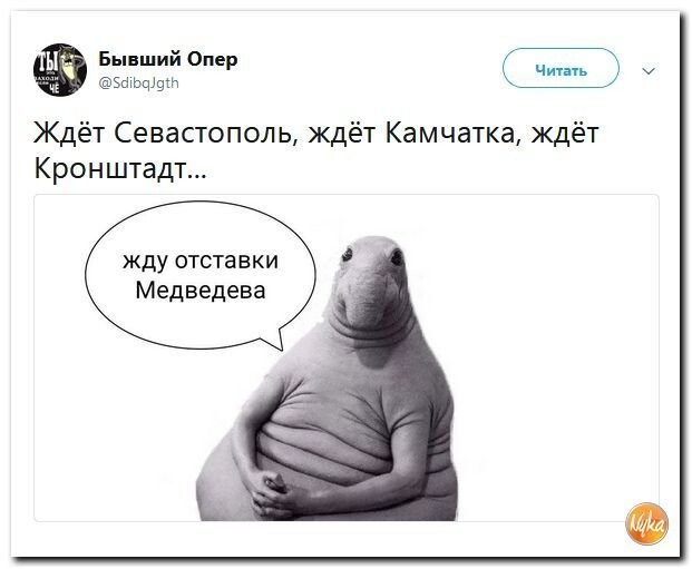 Политические коментарии - 507