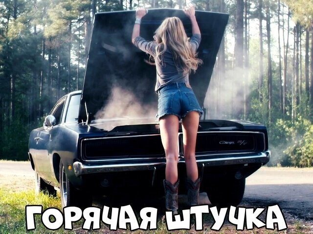 Автовсячина