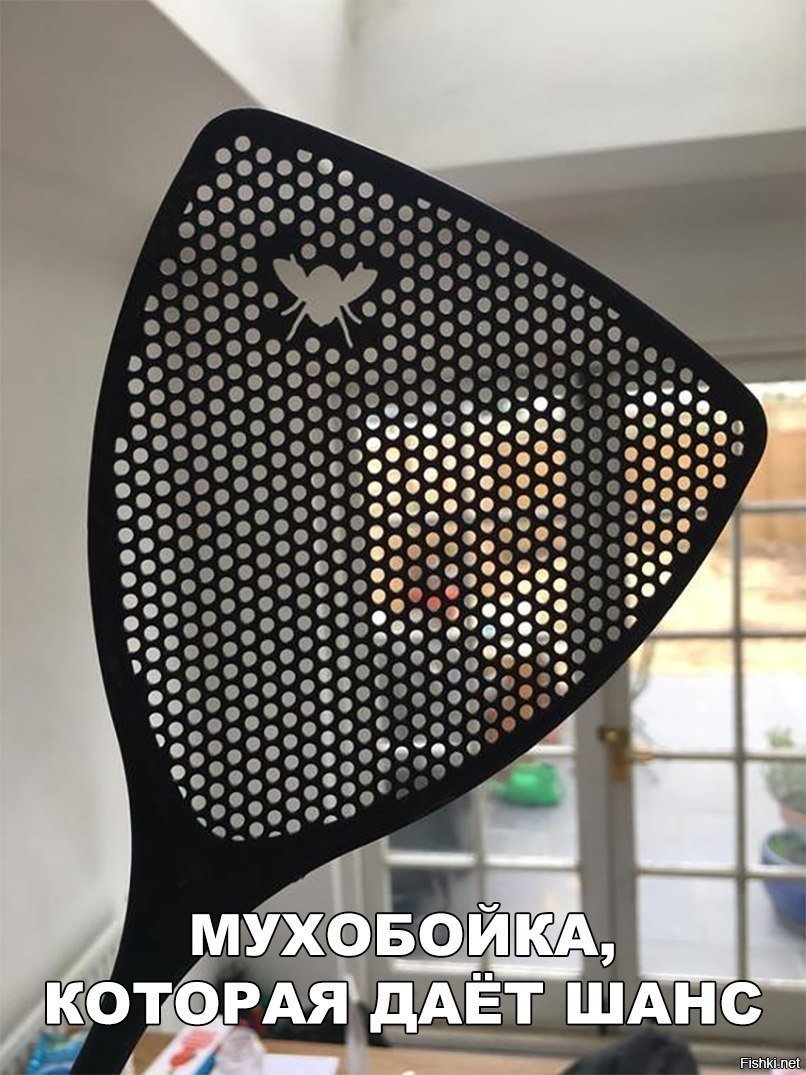 мухобойка с шансом на жизнь
