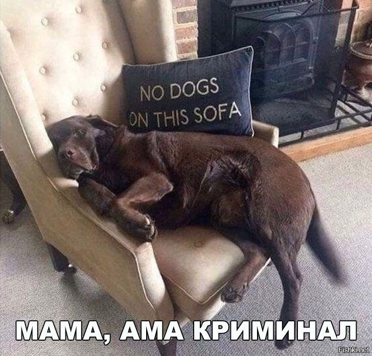 Против системы