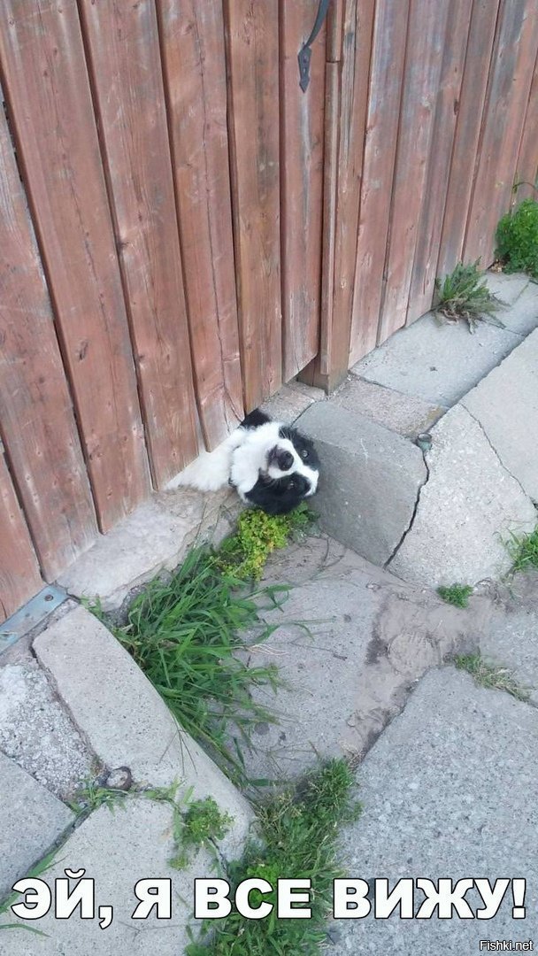 Ооо, привет