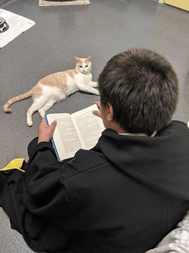 Чтения оказали на кота удивительное влияние: он стал более общительным и уверенным. Несмотря на слепоту он уже хорошо ориентируется в пространстве
