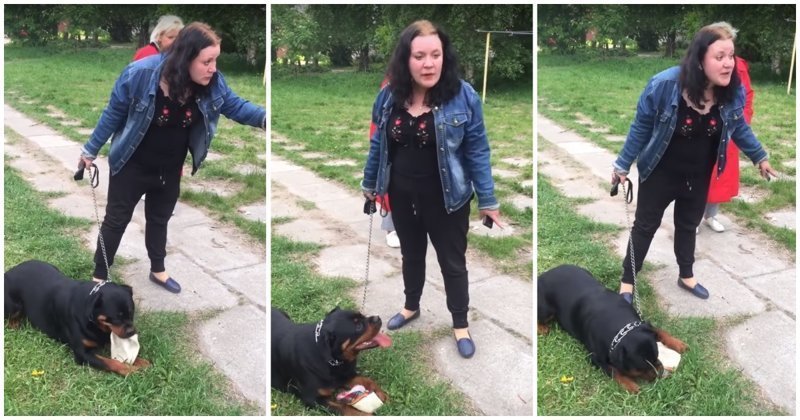 Неадекватная женщина решила погулять со своей собакой без намордника возле детской площадки
