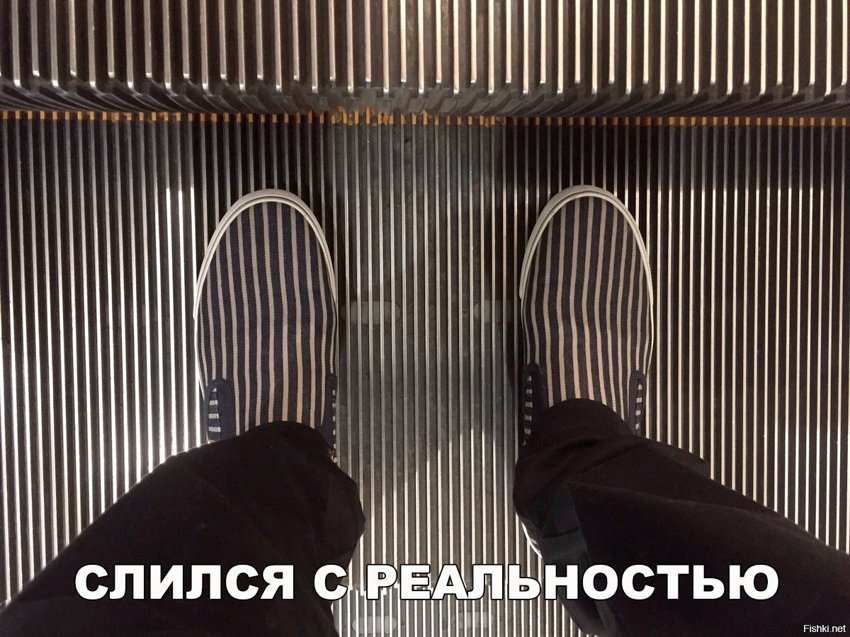 Слился с реальностью