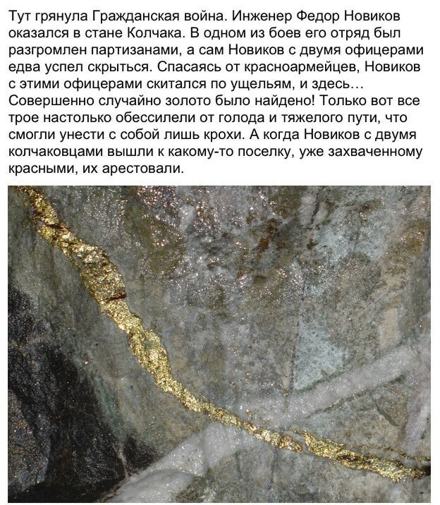 Тайна золотой жилы сибирского леса