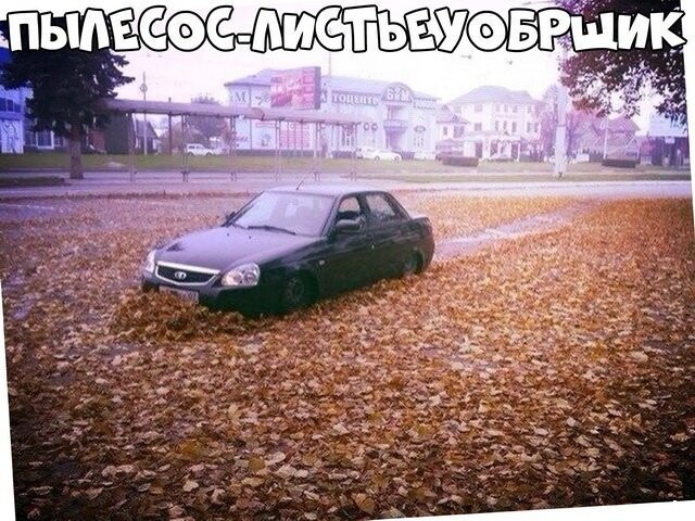 Автовсячина