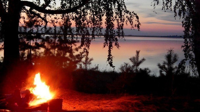 Прелести сельской жизни