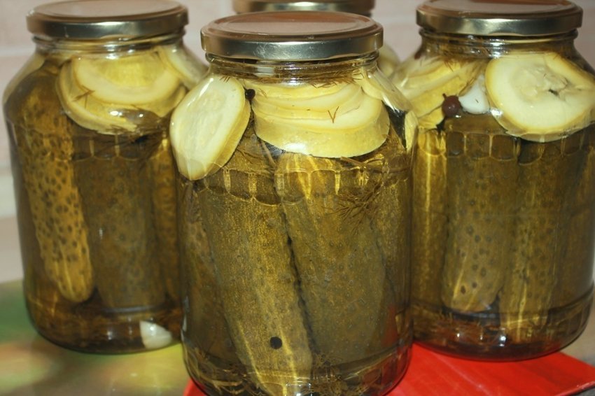 маринованные кабачки с огурцами. кабачки по болгарски. огурчик и кабачок. огурцы кабачки мариновать. маринованные кабачки с огурцами на зиму.