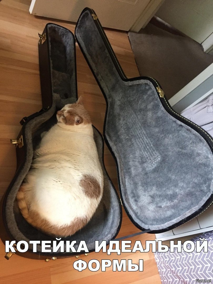 Идеально подошёл